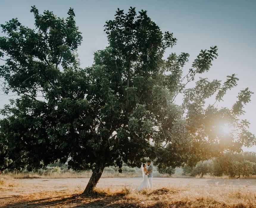 דמיטרי ואנפיסה