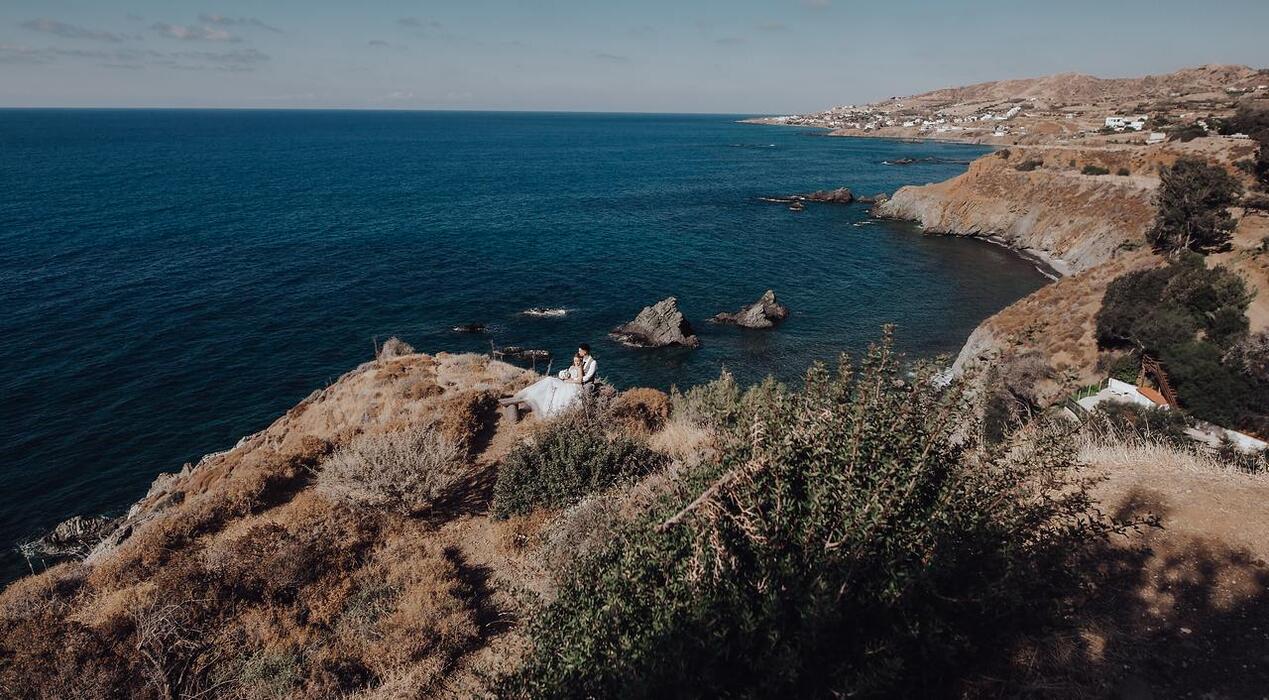 סטס ויוליה